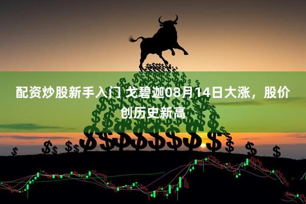 配资炒股新手入门 戈碧迦08月14日大涨，股价创历史新高
