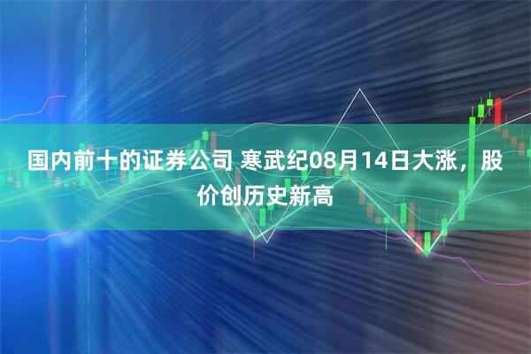 国内前十的证券公司 寒武纪08月14日大涨，股价创历史新高